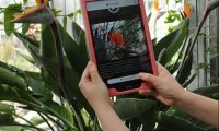 Im Botanischen Garten können Interessierte eine Smartphone-Tour erleben.