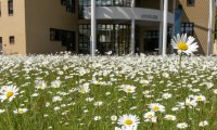 Unser Campus Senftenberg im Sommer