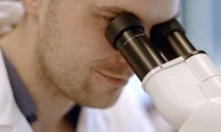 Laborarbeit mit dem Mikroskop