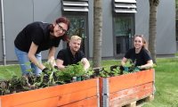 Urban Gardening an der Hochschule Augsburg