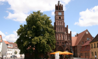 Das Rathaus der Stadt Brandenburg an der Havel
