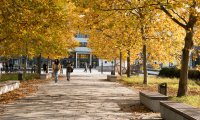 Herbst auf dem Campus