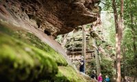 Der angrenzende Pfälzerwald bietet die Möglichkeit für Uni eigene Kletterkurse