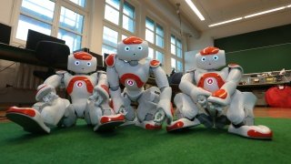 Softwareprogrammierung am Beispiel von humanoiden Robotern