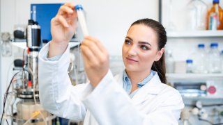 "Bachelor-Studiengang Molekulare Biotechnologie: Eine vielseitige Ausbildung für die Zukunft der Bio