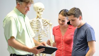 Anatomiewissen für Informatik-Anwendungen in der Gesundheitsinformatik