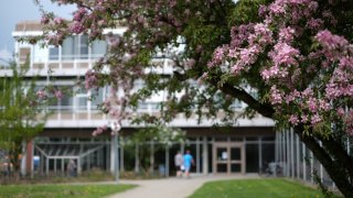 Frühling_Campus