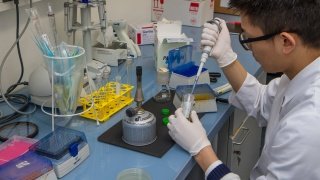 Untersuchung von Antibiotikaresistenzen im Labor