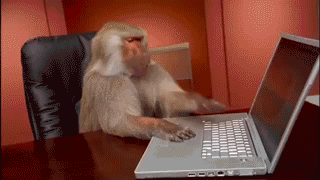 Affe haut auf Tastatur